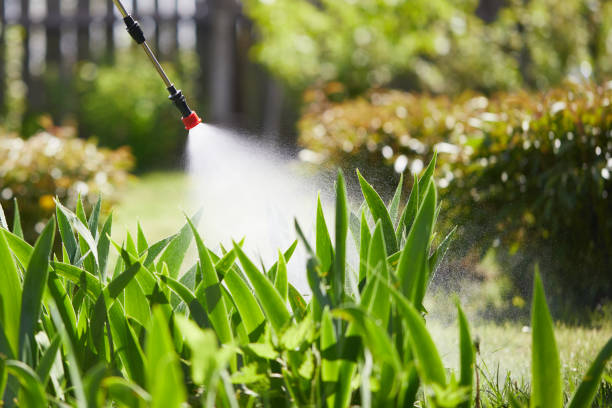 Tamper-Resistant Bait Stations for Rodents in Menard