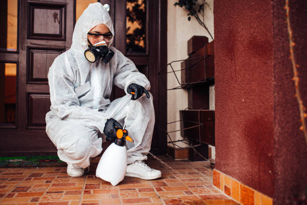 Attic and Crawl Space Rodent Treatment in Menard