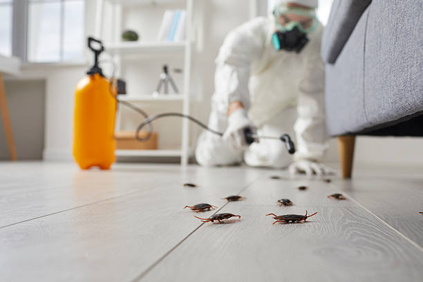 Commercial Rodent Management in Menard